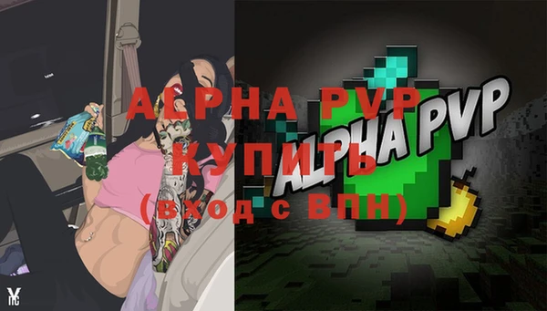 spice Елизово