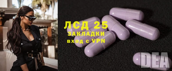 spice Елизово