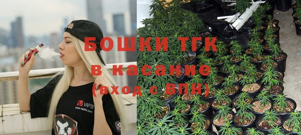 spice Елизово
