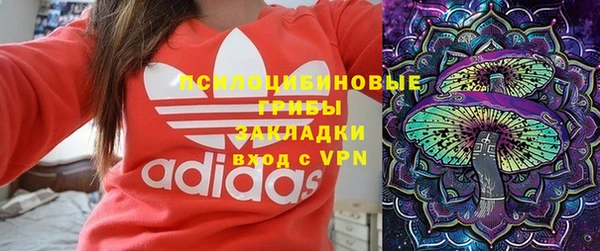 spice Елизово