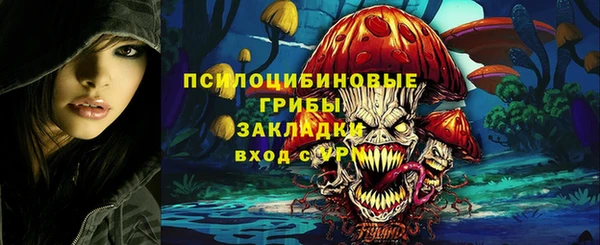 а пвп мука Елабуга