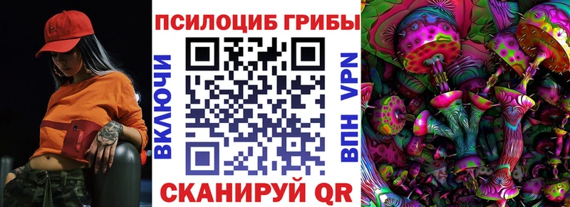 Купить закладки  Хилок  Галлюциногенные грибы MAGIC MUSHROOMS 